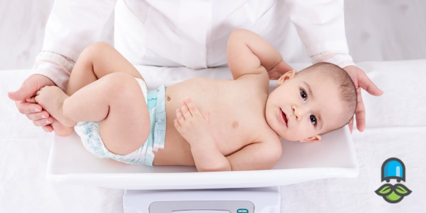 غذاهای مناسب برای وزن‌گیری سالم